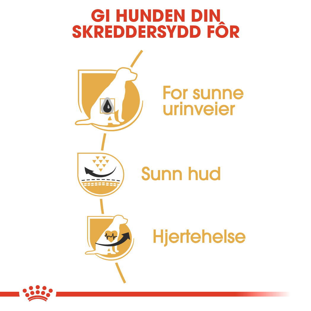 Royal Canin Dalmatian Adult tørrfôr til hund