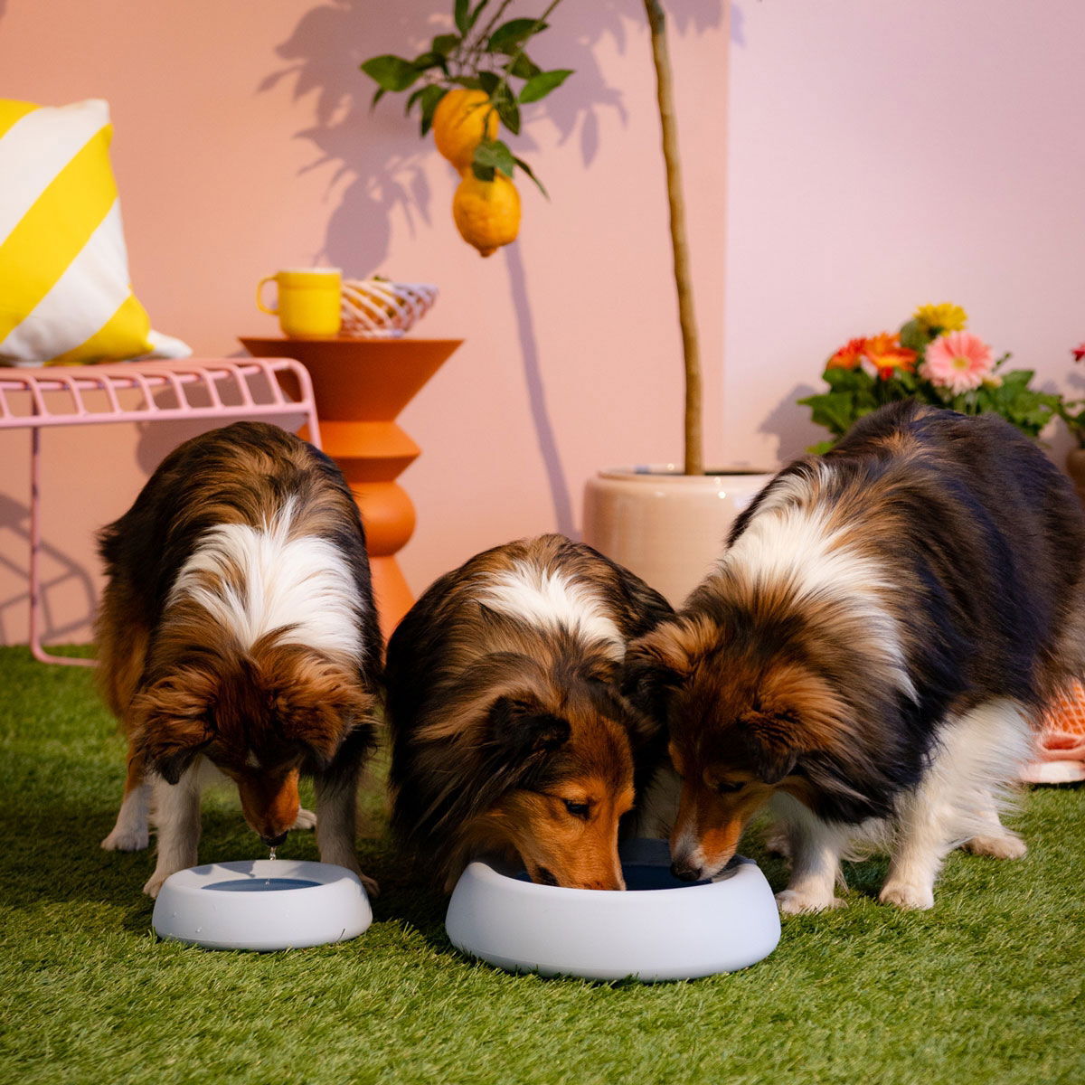 Little&Bigger Voyage no-spill silicone travel bowl light blue