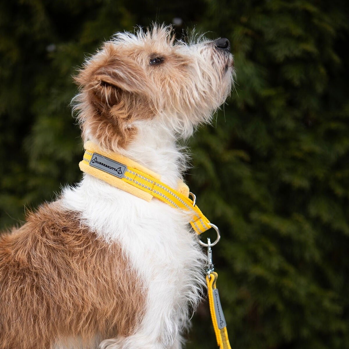 Kusse&Kutta half choke collar wide, yellow