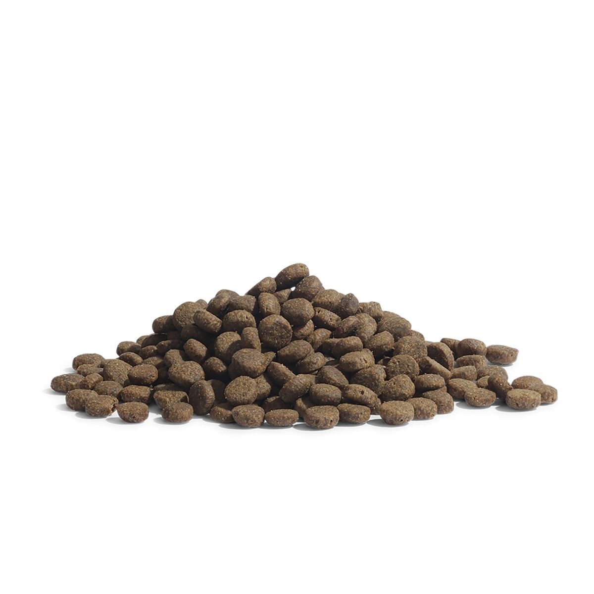 ESSENTIAL The PANTHER