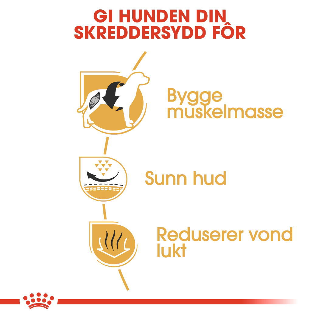 Royal Canin French Bulldog Adult tørrfôr til hund