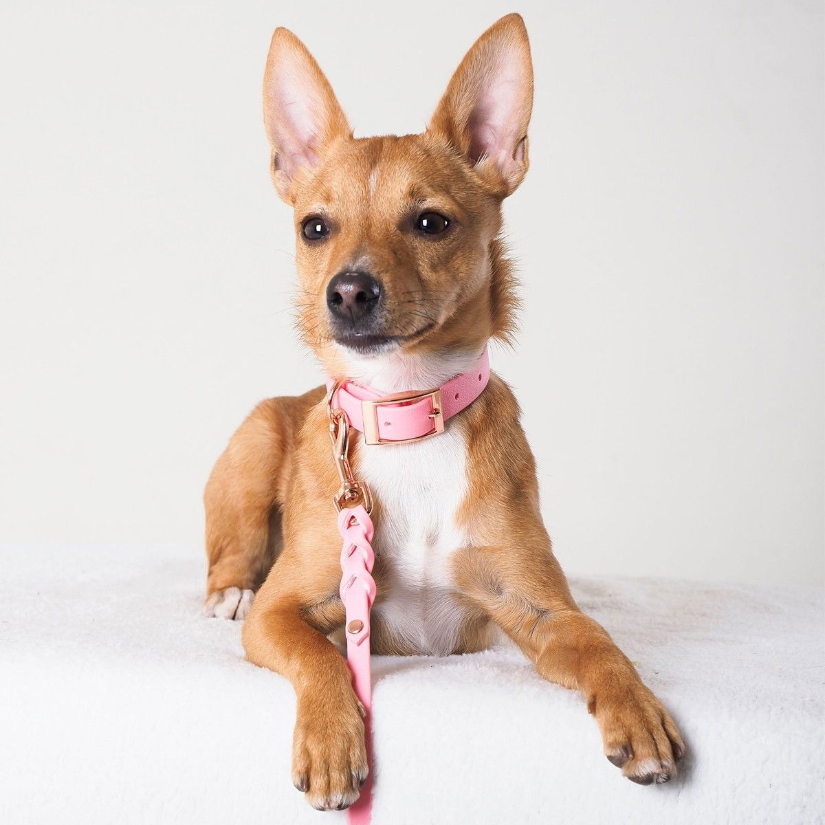 Tyylivoitto Braid leash, light pink