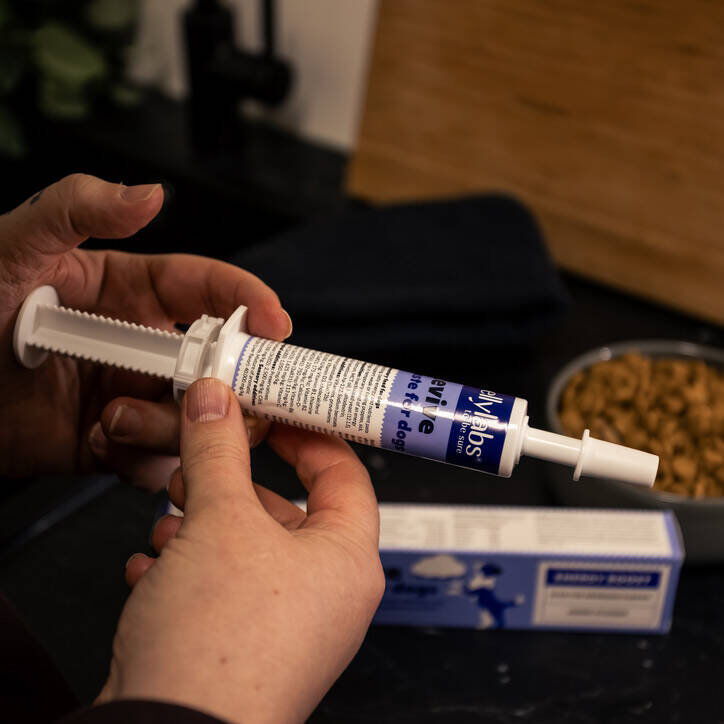 Bellylabs Revive paste 30 ml