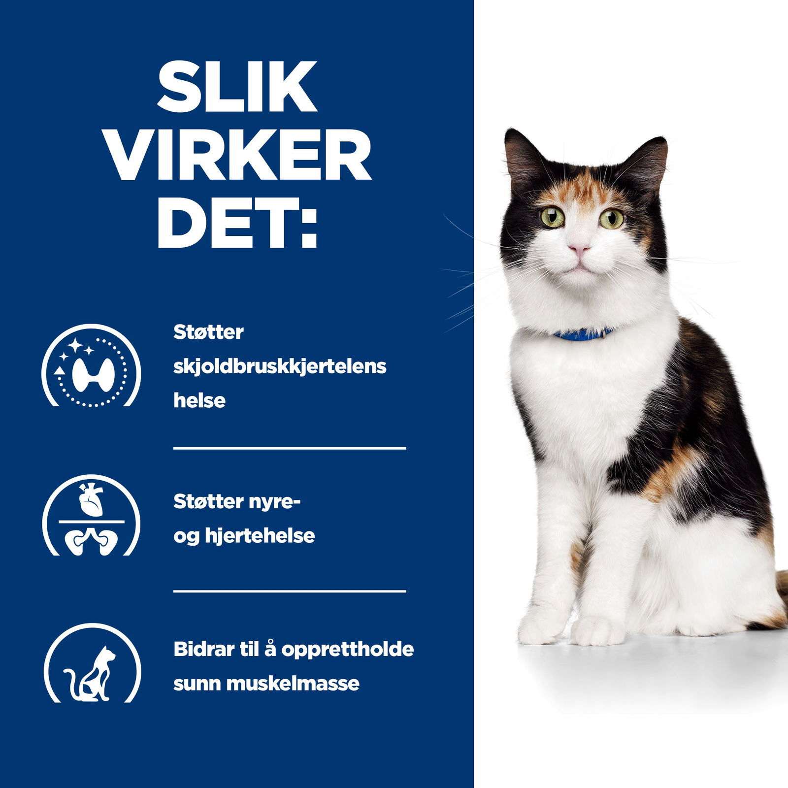 Hills Diet Cat y/d 1,5kg