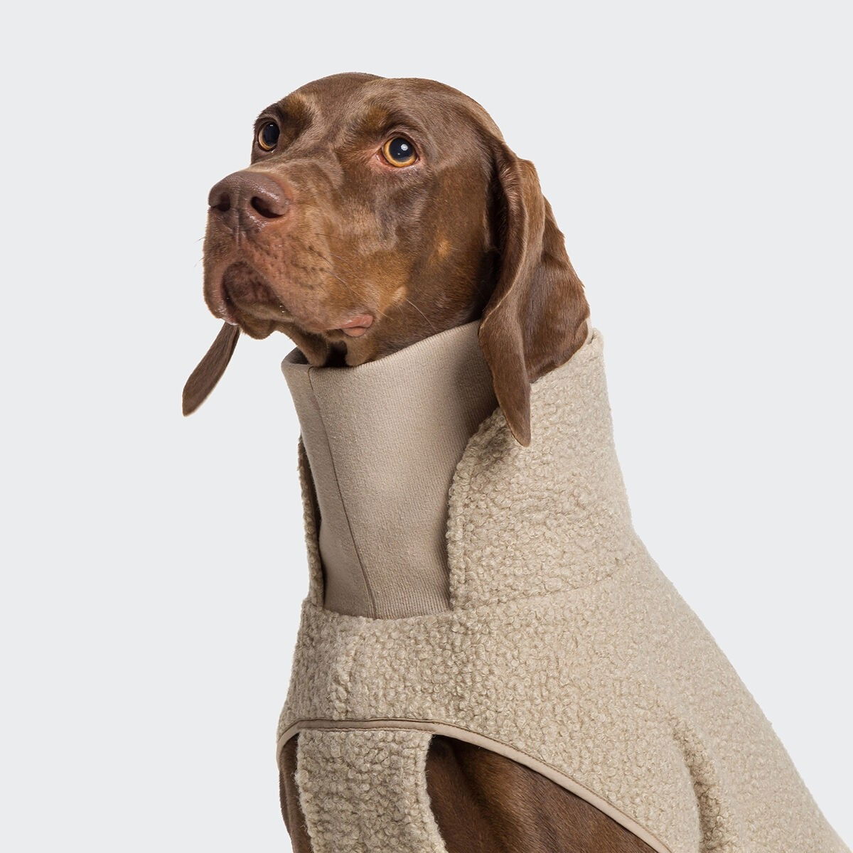 Cloud7 Dog Sweater Gotland, Beige