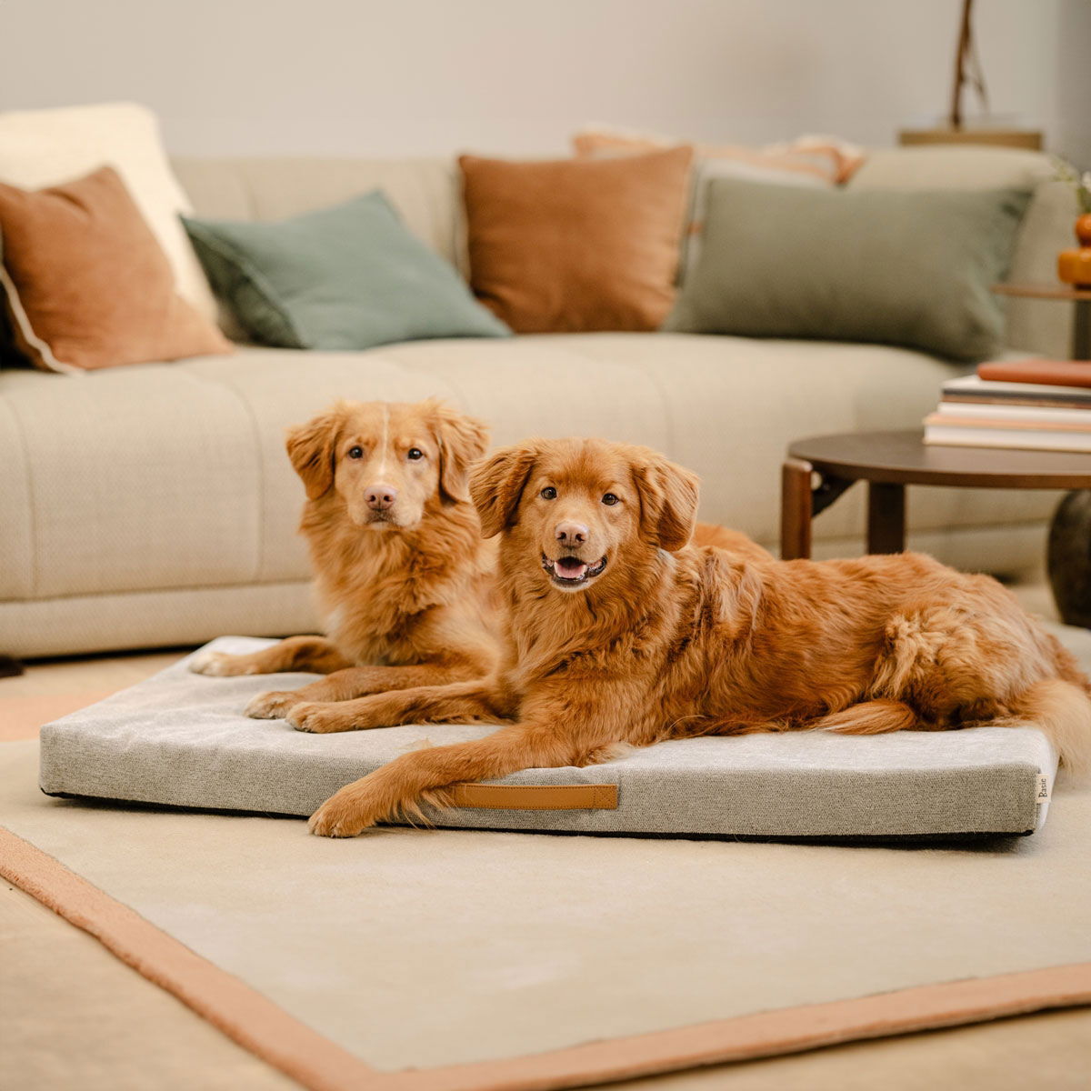 Basic WellB orthopedic mattress pebble