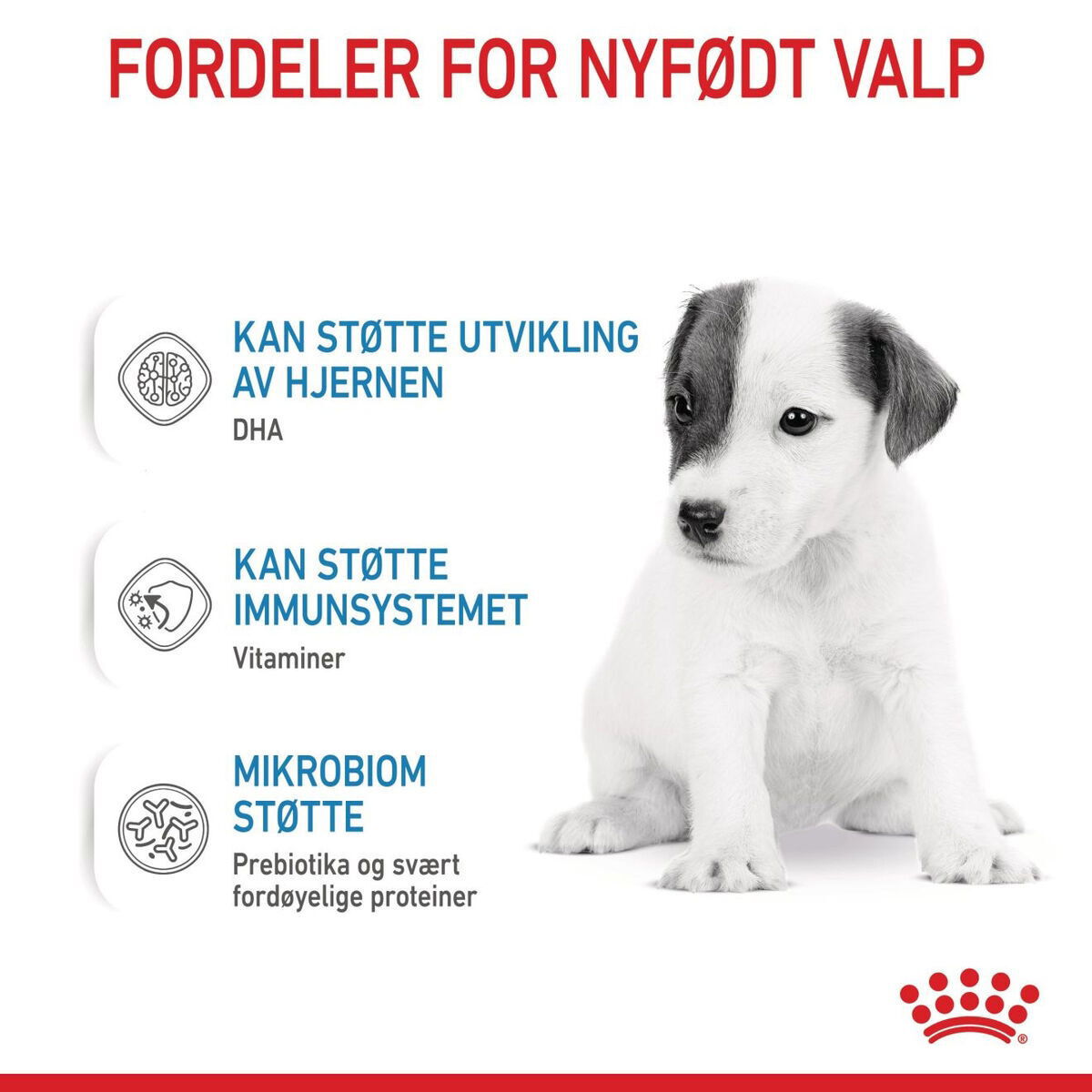 Royal Canin Babydog Milk melk til valp