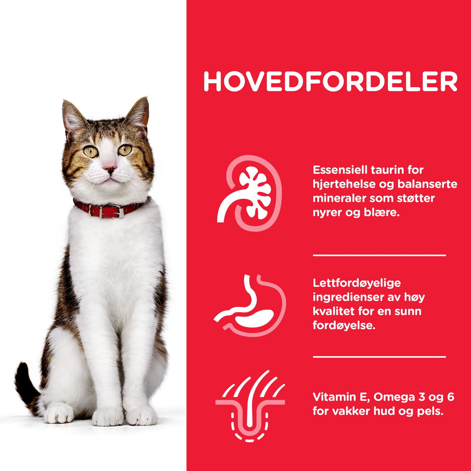 Hill's Science Plan Cat Mature 7+ Tuna