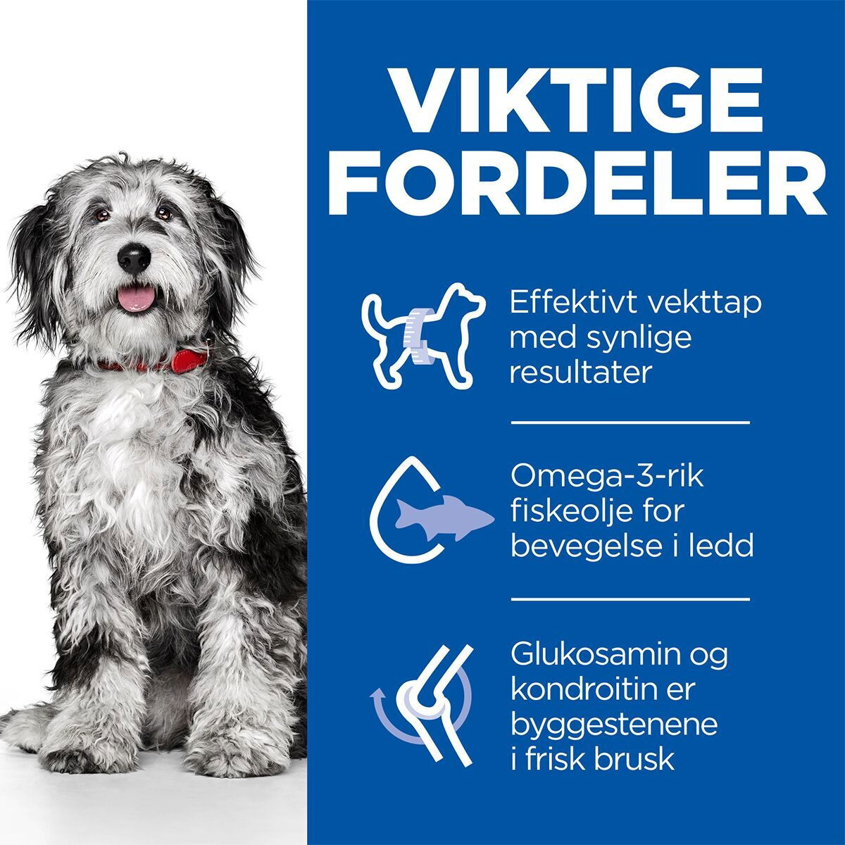 HILL'S SP per.wght & act. Mob. M Ad ky