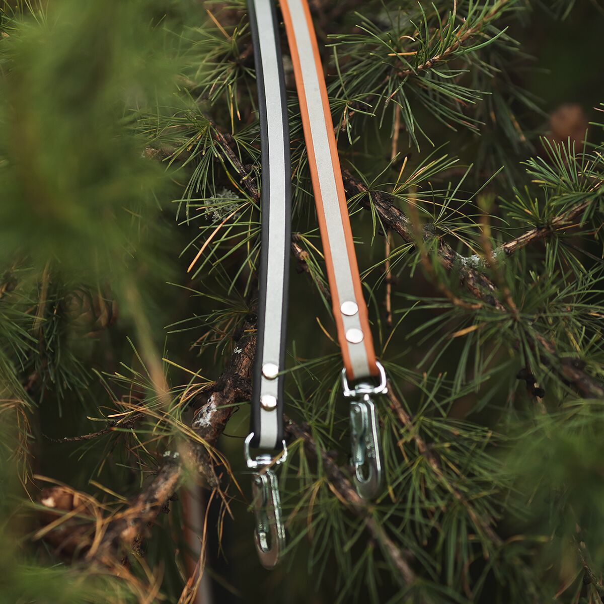 Tyylivoitto Shine Eazy leash, cognac