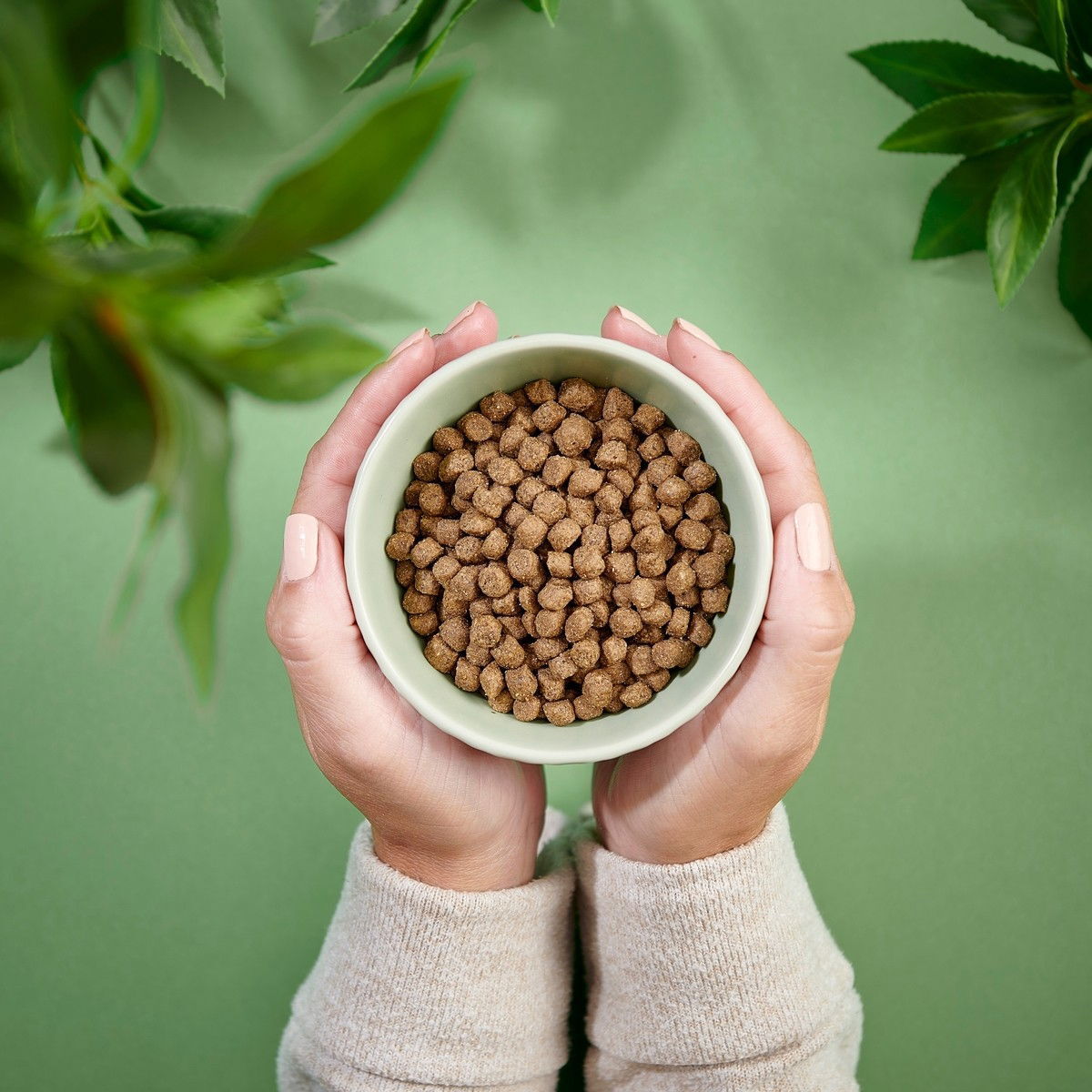 Purenatural Cat Sterilised Turkey