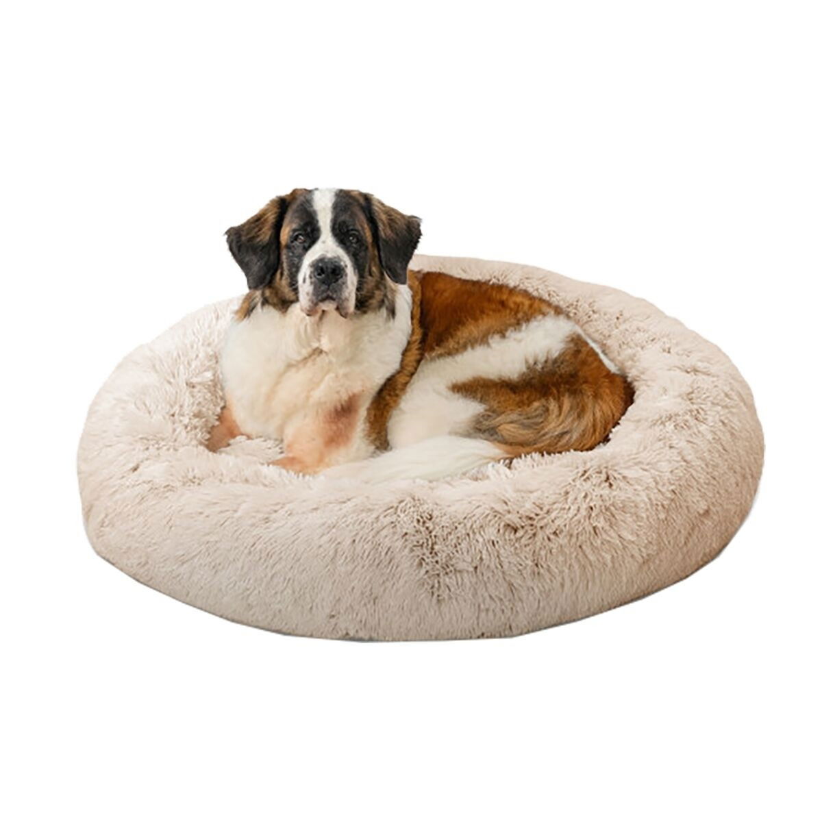 Best Friends by Sheri Donut bed shag