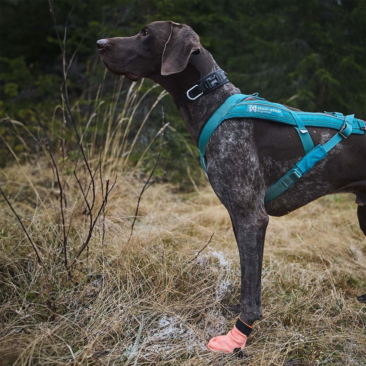 Non-Stop Protector light socks 4-pack