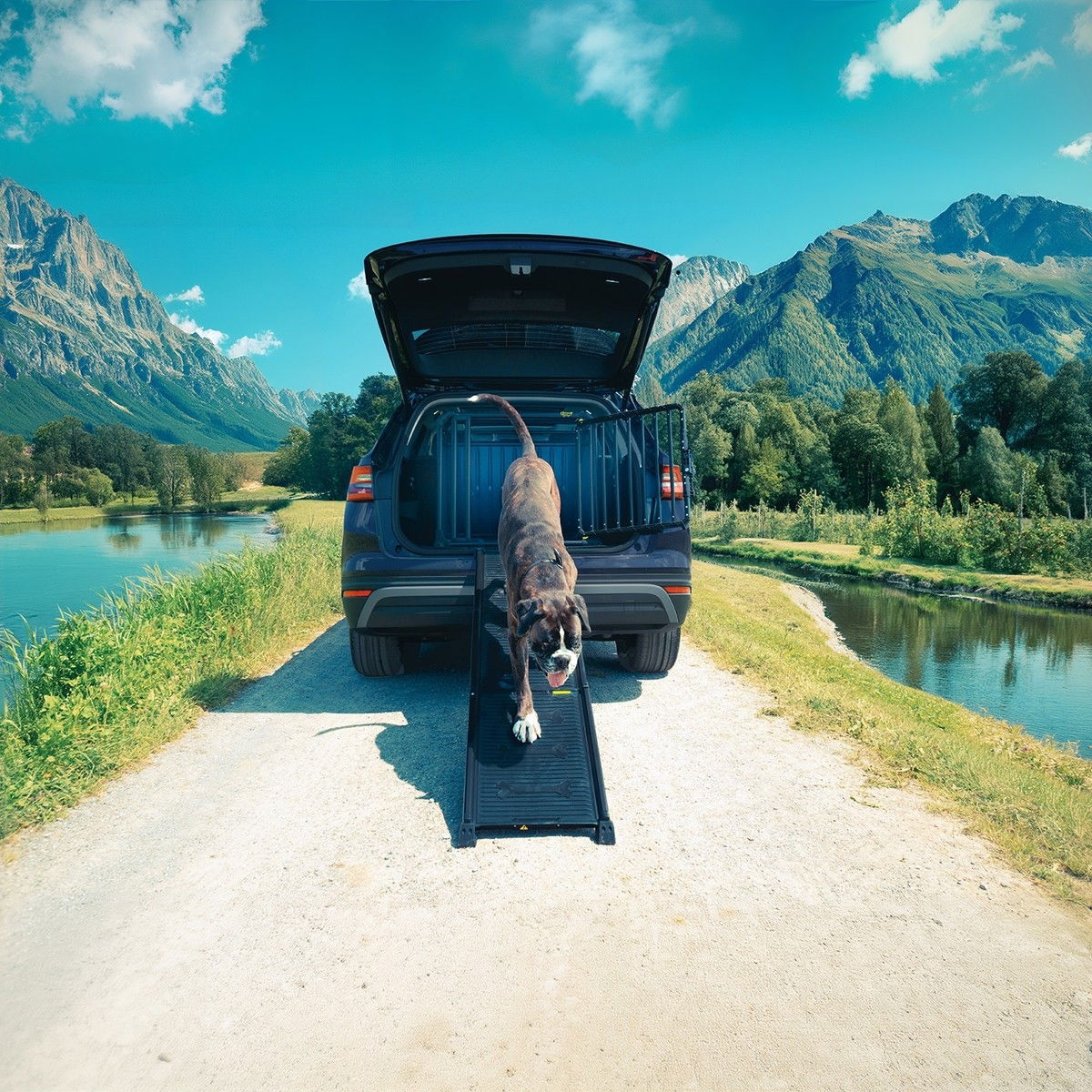 4Pets EasySteps car ramp for dogs black