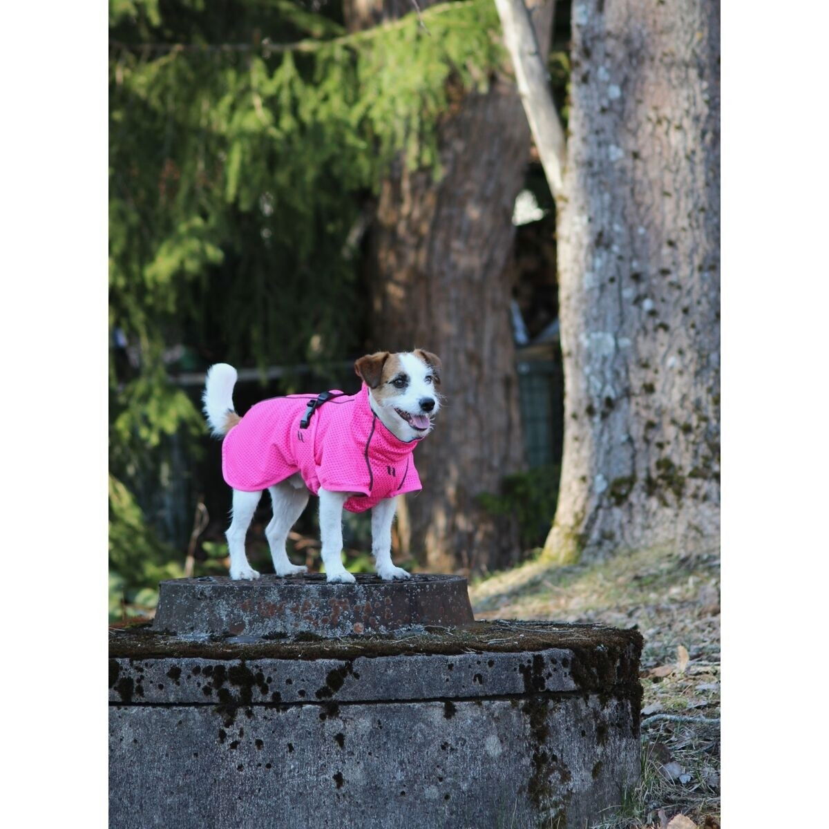 Back on Track Mesh jacket Limited Edition, Hot Pink