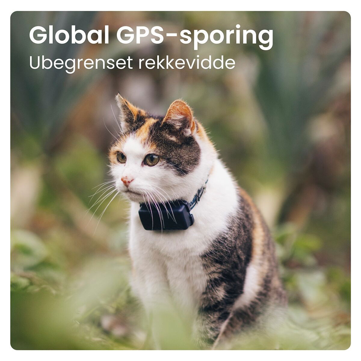Tractive GPS CAT Mini
