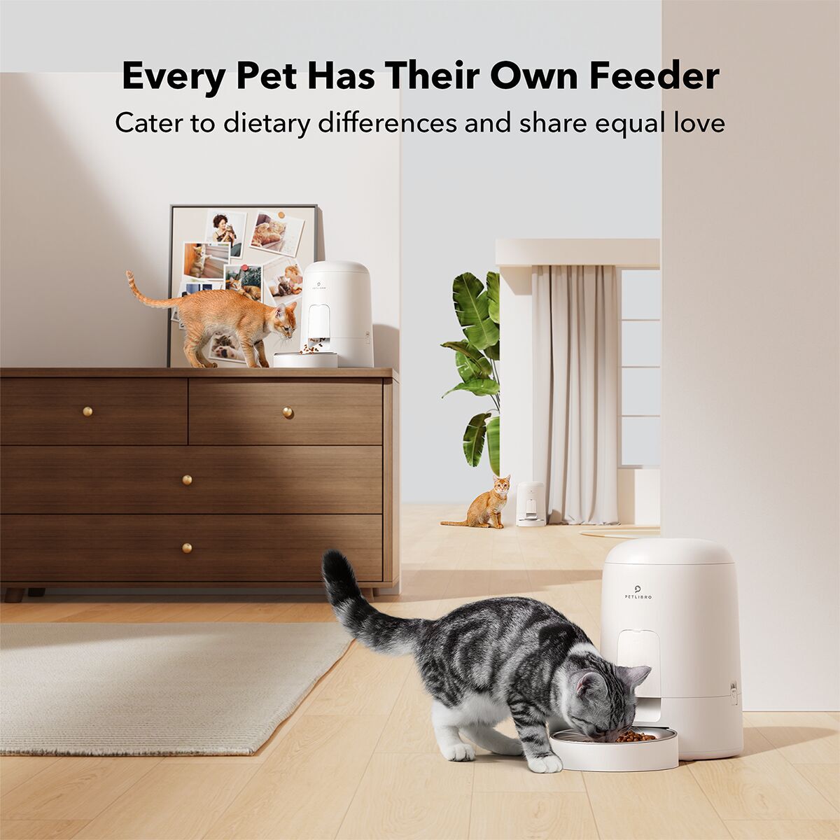 Petlibro Air Automatic pet feeder