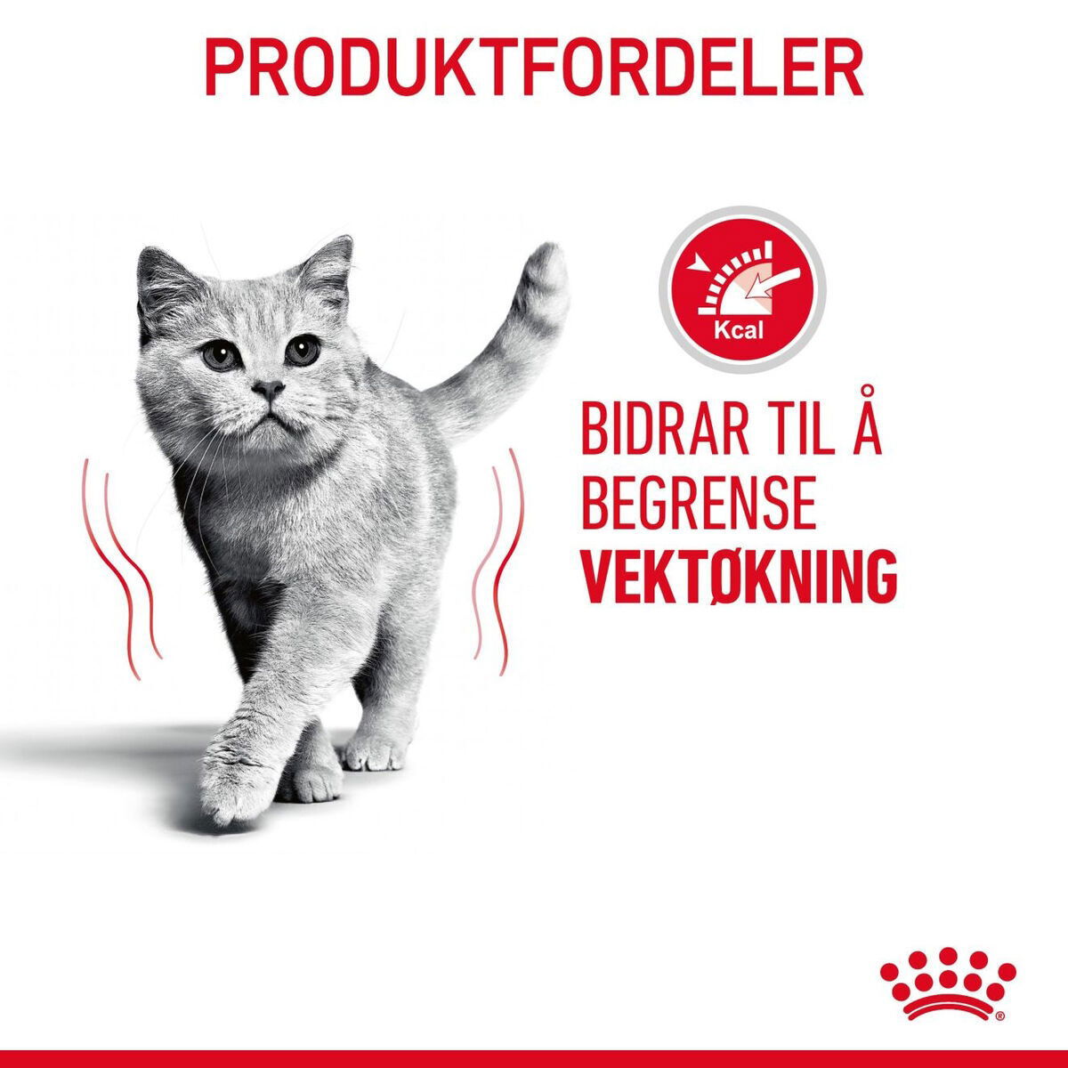 Royal Canin Light Weight Care Adult tørrfôr til katt