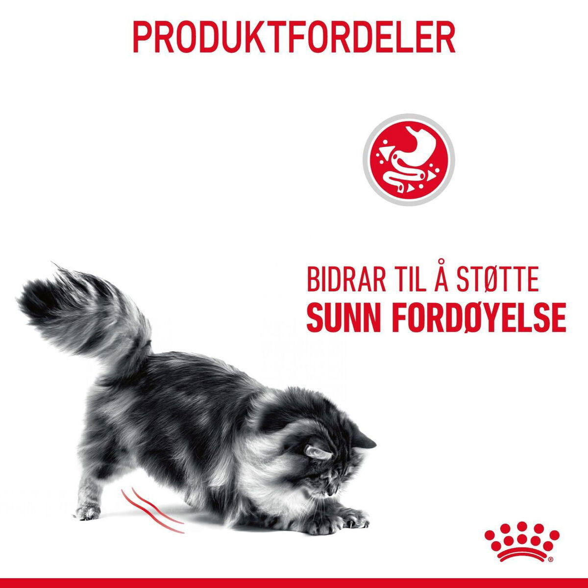 Royal Canin Digestive Care Adult tørrfôr til katt