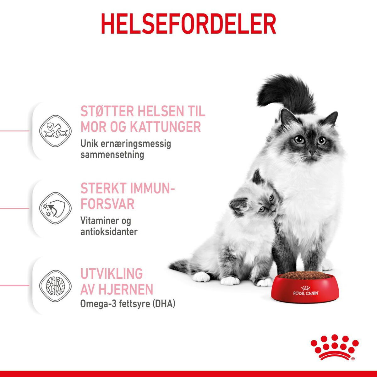 Royal Canin Mother & Babycat tørrfôr til katt og kattunge