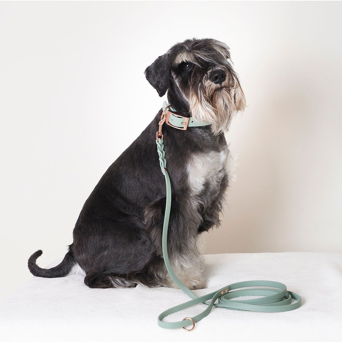 Tyylivoitto Braid leash, sage/rosegold
