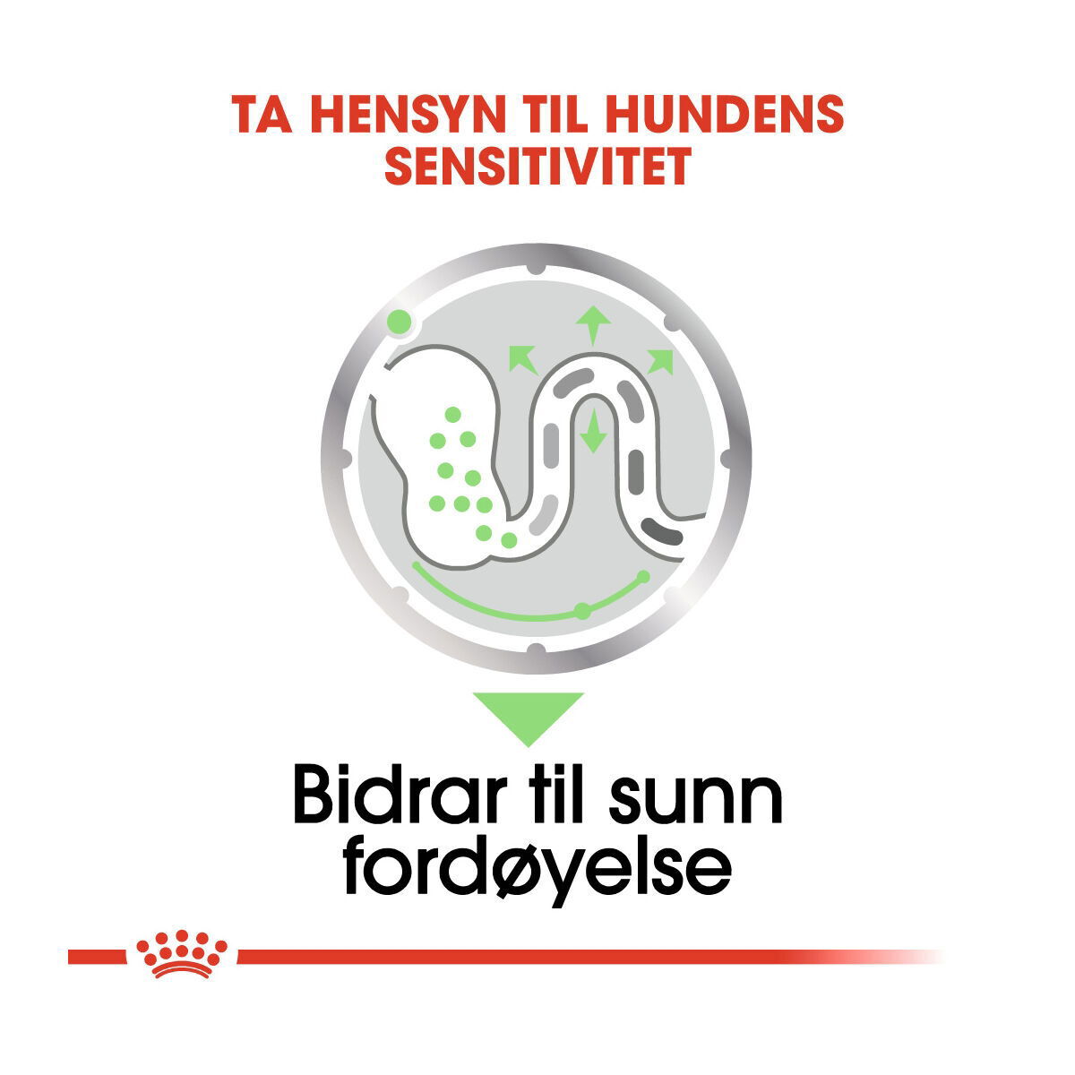 Royal Canin Digestive Care Adult Loaf våtfôr til hund