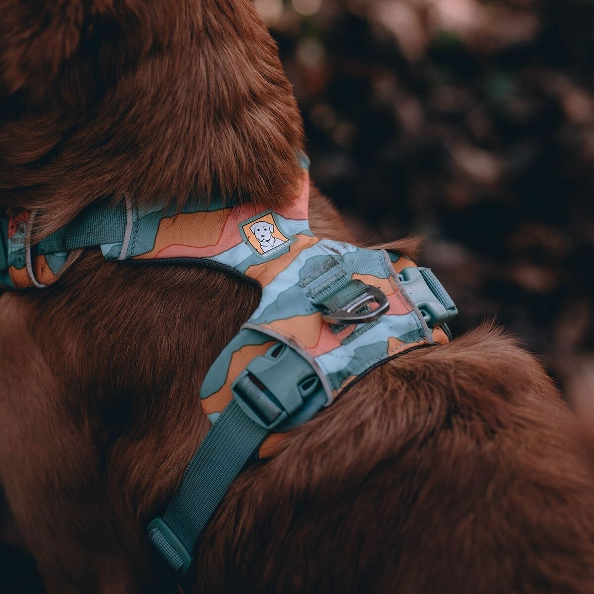 Ruffwear Front Range Harness Spring Mountains