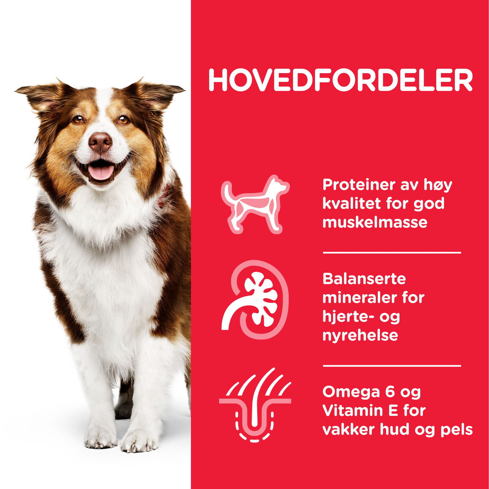 Hill's Science Plan Dog Mature 7+ Chicken