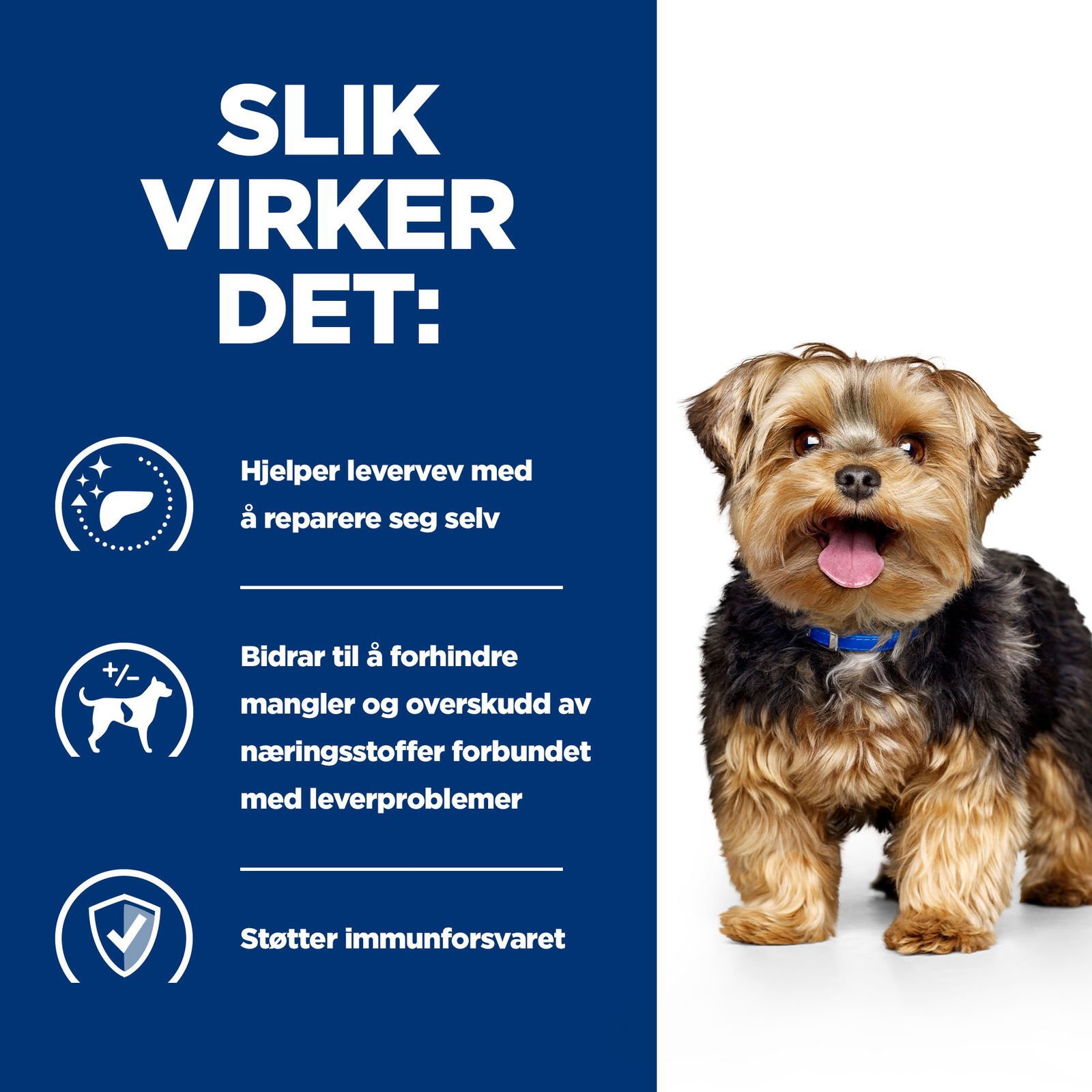 Hills Diet Dog l/d 2kg