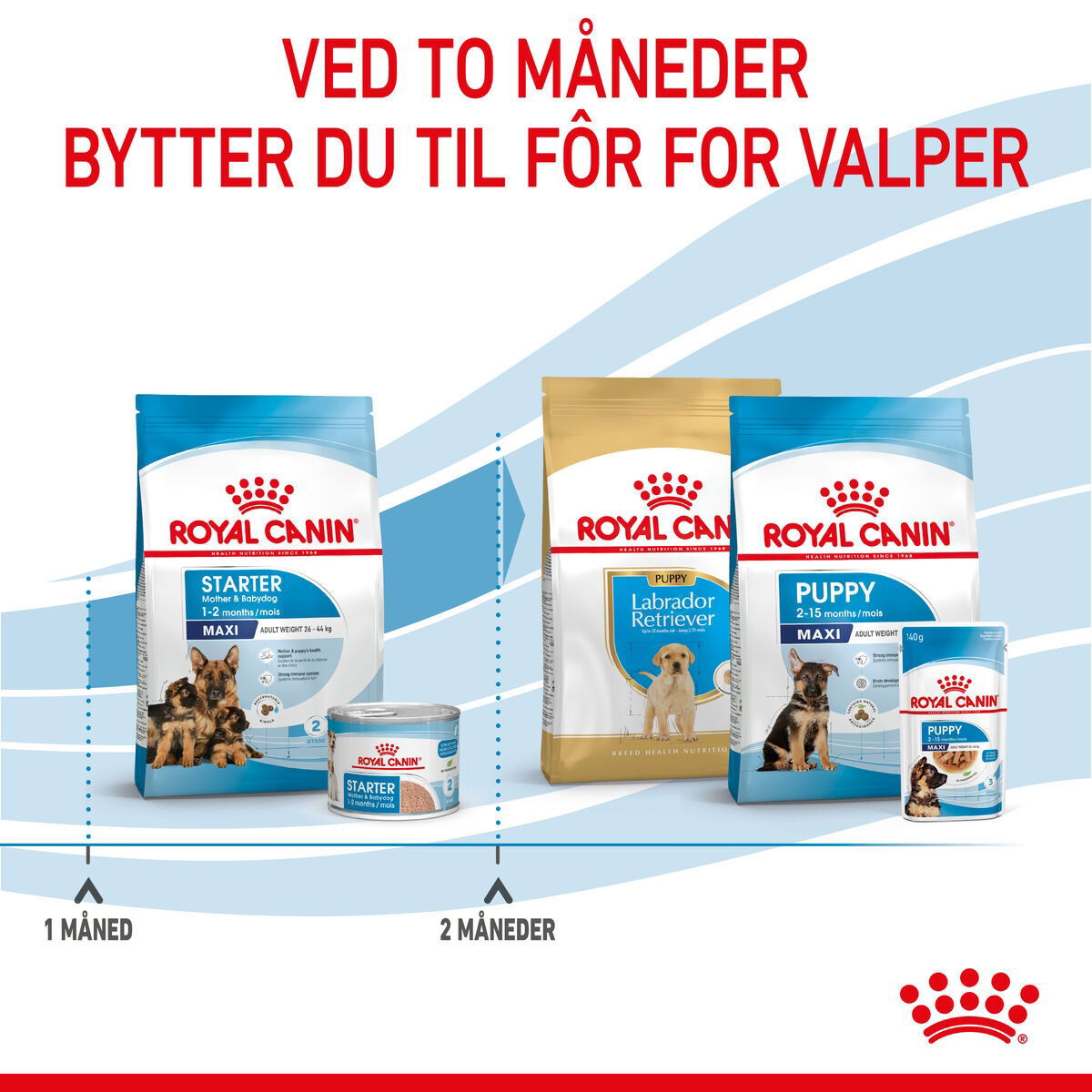 Royal Canin Maxi Starter tørrfôr til hund og valp