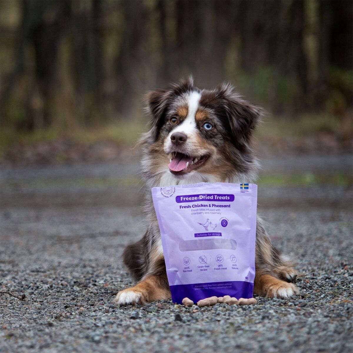 Buddy Freeze-dried Chicken&Phaes.100g