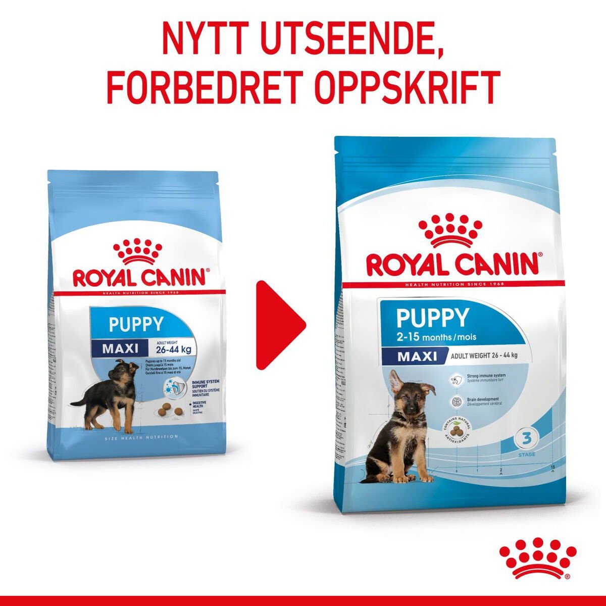 Royal Canin Maxi Puppy Tørrfôr til valp