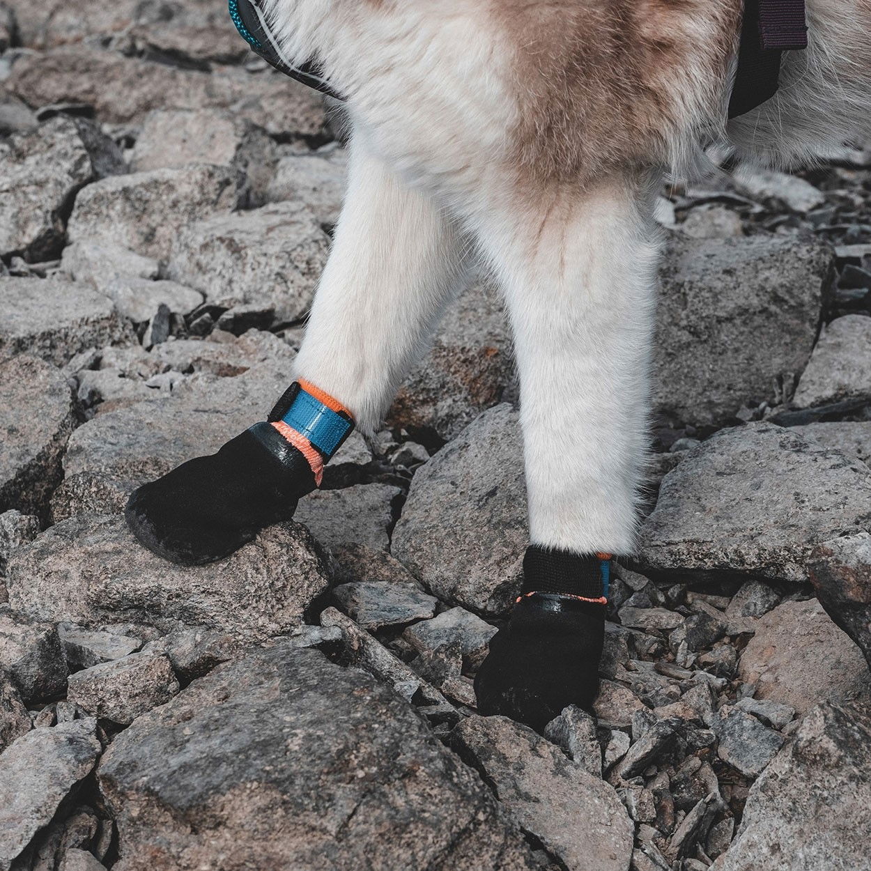 non-Stop Protector bootie black/orange