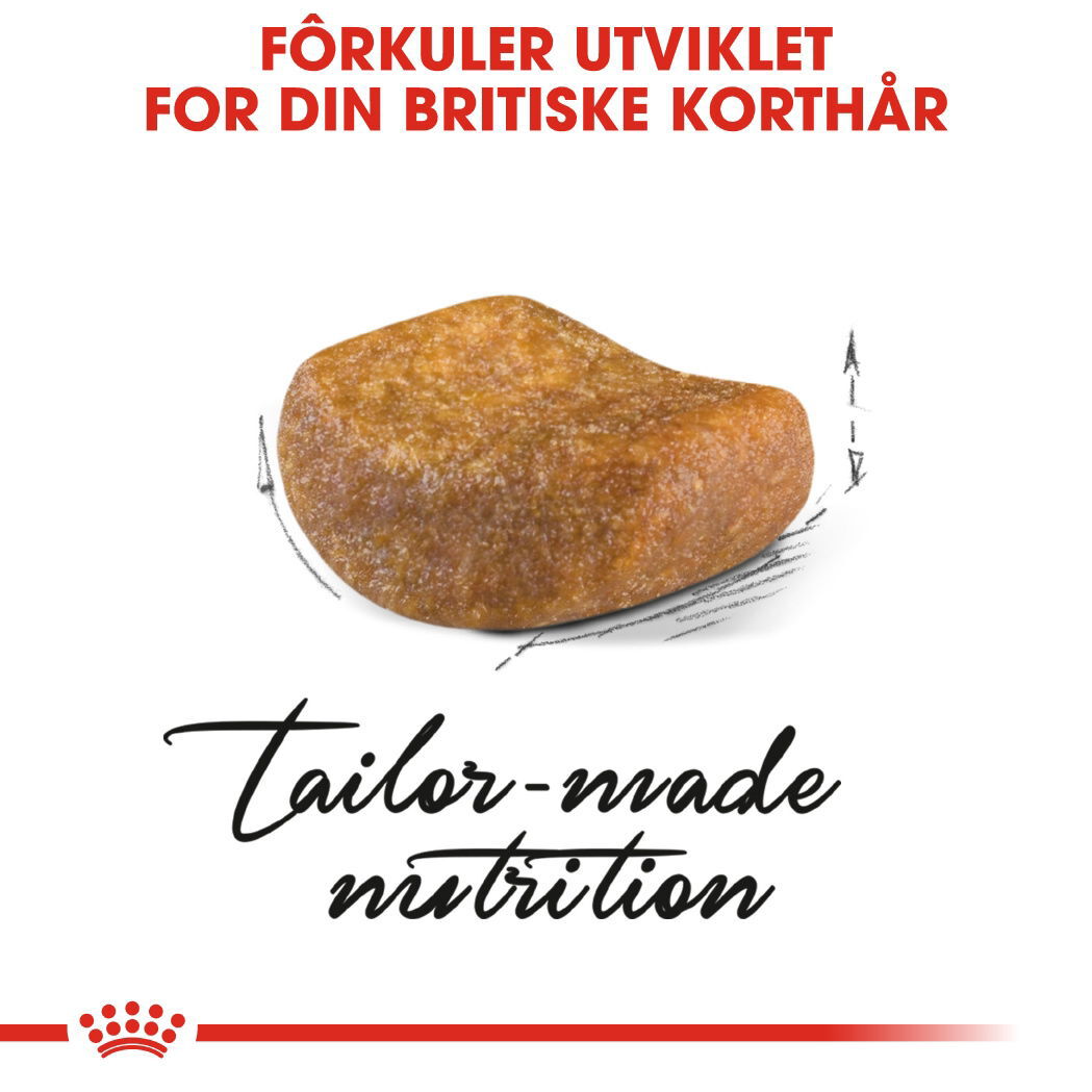 Royal Canin British Shorthair Adult tørrfôr til katt