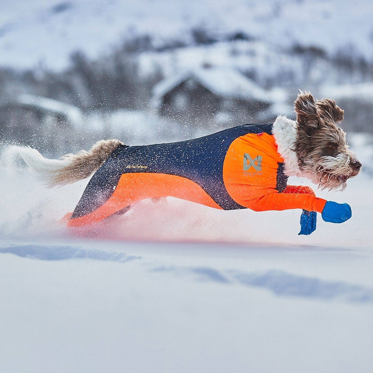 Non-stop protector snø hann