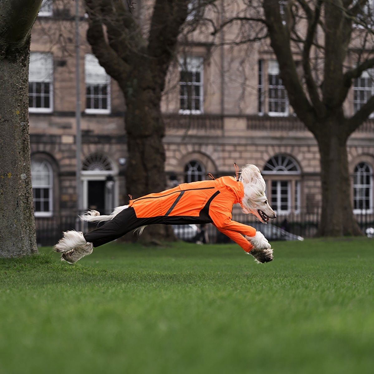 Non-stop dogwear Fjord overall raincoat 2.0 orange