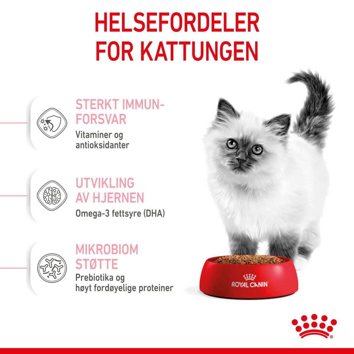 Royal Canin Kitten tørrfôr til kattunge