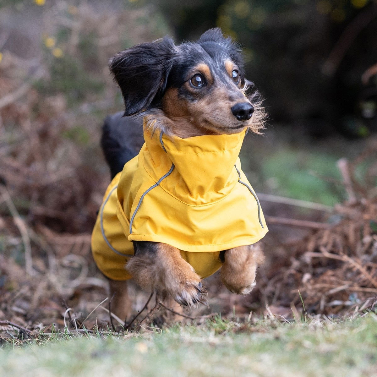 Rukka Hayton eco raincoat, yellow