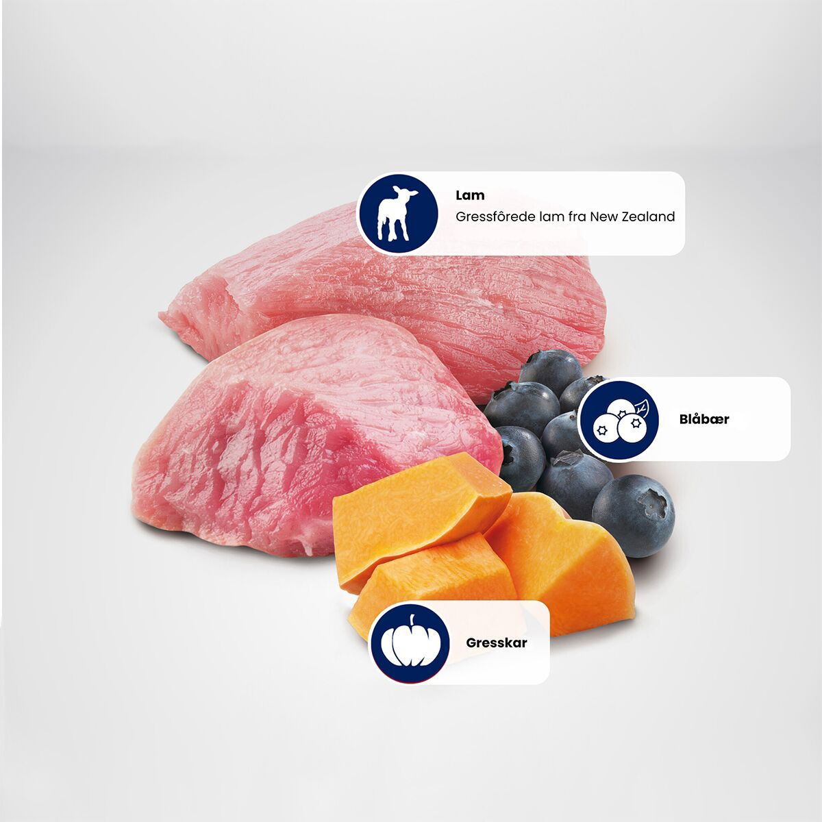 N&D Pumpkin Dog Lamb&Blu Puppy S 2,5kg