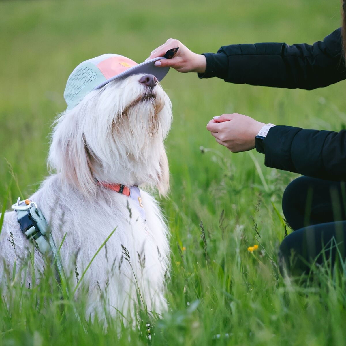 WW Alpha 360 Tech Cap, Lavender Mix