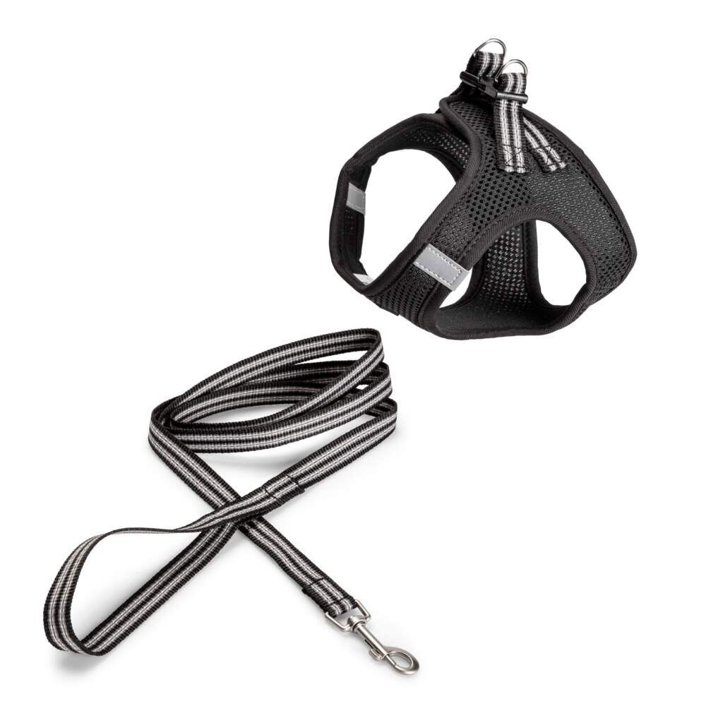 Basic Cat Sporty Harness Set Black