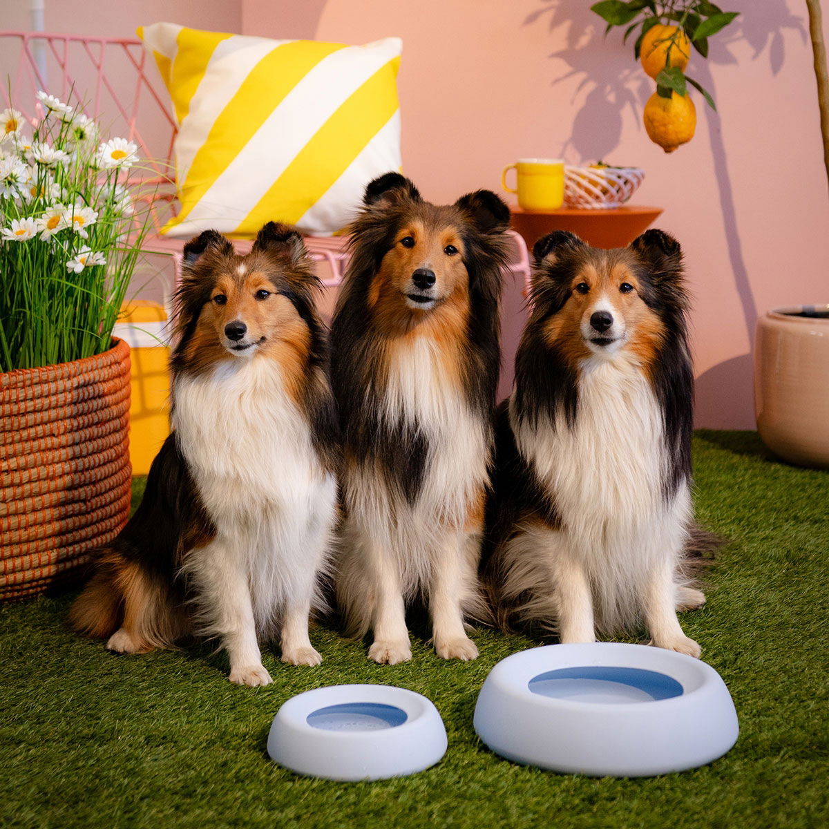 Little&Bigger Voyage no-spill silicone travel bowl light blue