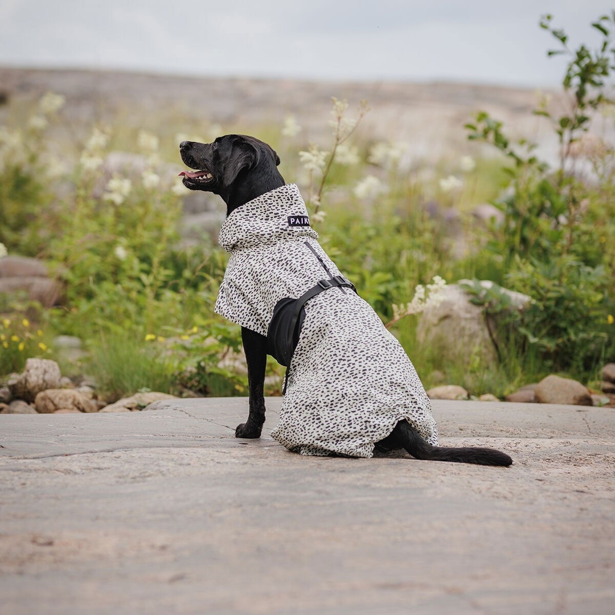 PAIKKA Raincoat  2.0