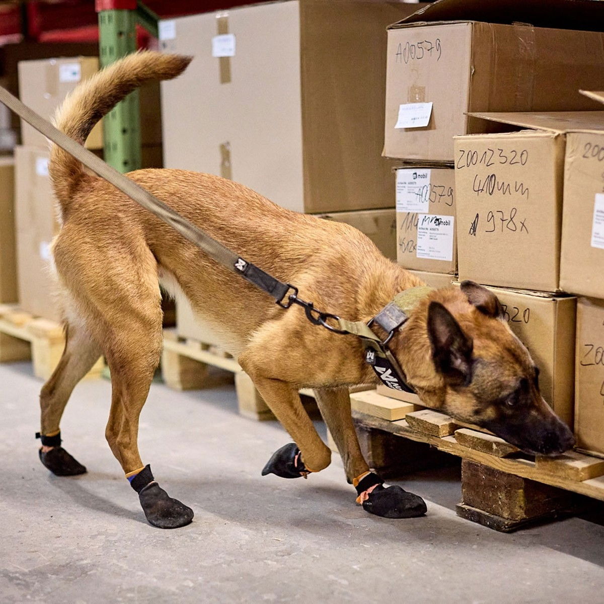 Non-stop Solid collar WD olive