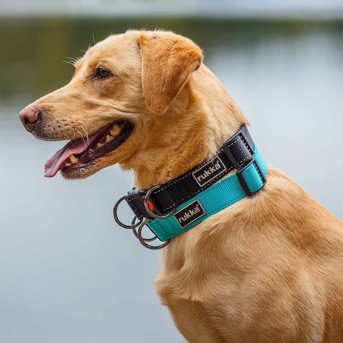 Bliss Polar halsbånd nylon svart