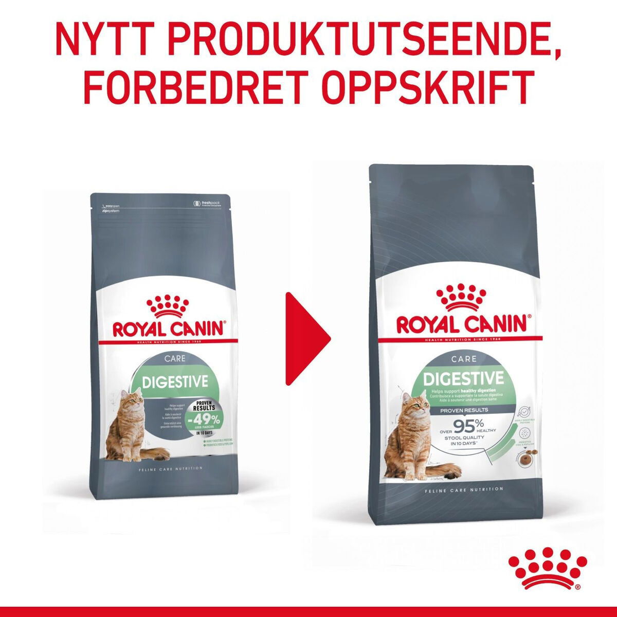 Royal Canin Digestive Care Adult tørrfôr til katt