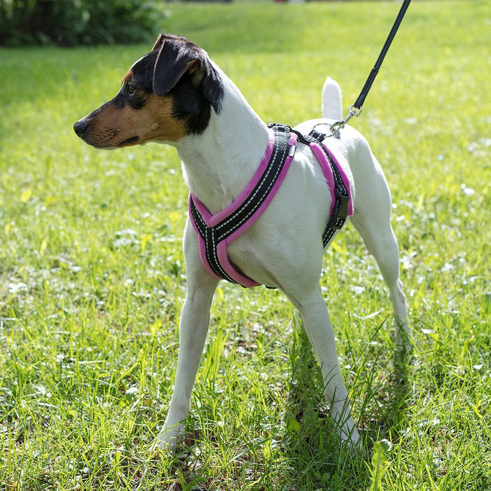 Basic Cosy Y-sele Rosa