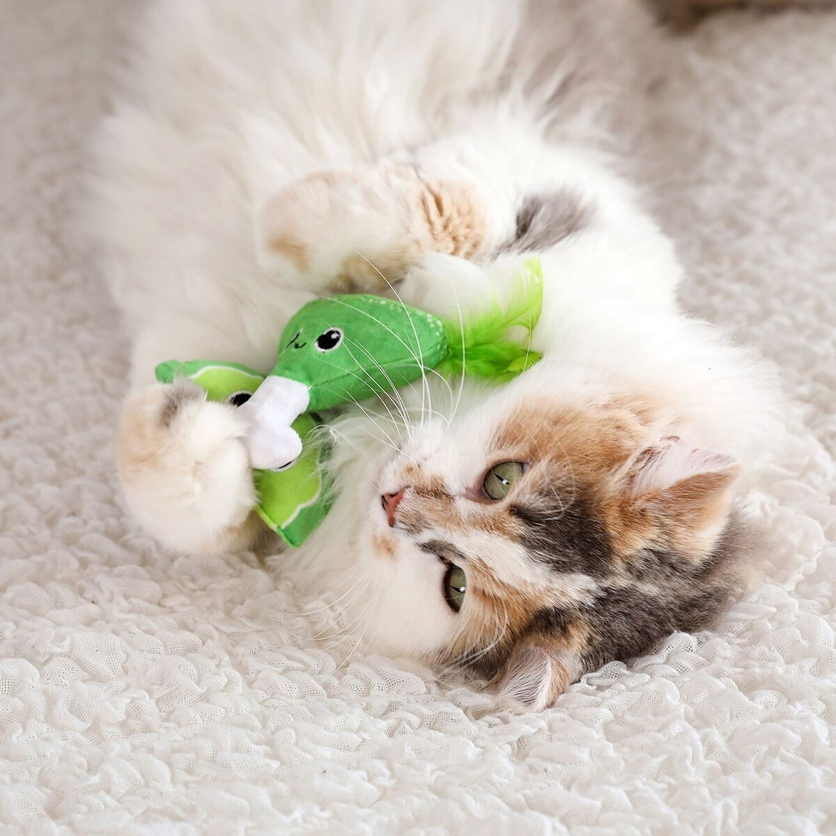 Quirky Kitty MEOWGARITA TIME CATNIP PLUSH