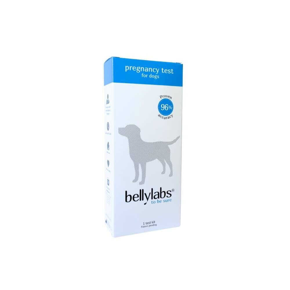 Bellylabs Pregnancy Test For Dogs