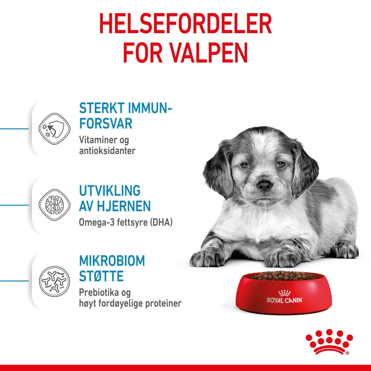 Royal Canin Medium Puppy tørrfôr til valp